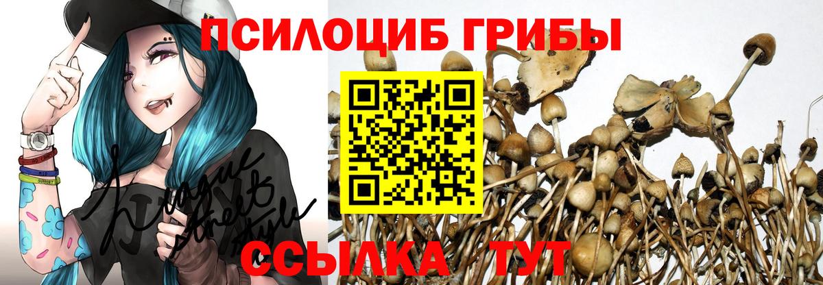 Псилоцибиновые грибы GOLDEN TEACHER  Галлюциногенные грибы Magic Shrooms  Нурлат  Вход с VPN 